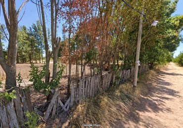 Fraccion de casi 3 hectareas en Villa San Luis, Florencio Varela. 138 m de frente